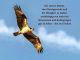 alb60_img2350.jpg