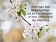 alb60_img2444.jpg