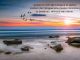 alb60_img2456.jpg