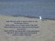 alb60_img2219.jpg