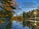 alb60_img2425.jpg