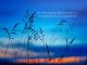 alb60_img2595.jpg