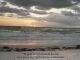 alb60_img1869.jpg
