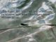 alb60_img1961.jpg