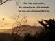 alb60_img2293.jpg